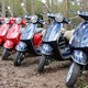 Vespa Waasland